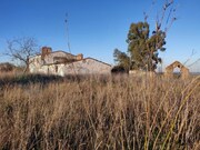 Terreno R�stico - Estremoz, Estremoz, �vora - Miniatura: 4/8