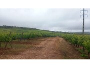Terreno R�stico - Estremoz, Estremoz, �vora - Miniatura: 8/8