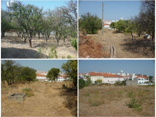 Quinta - Santo António da Charneca, Barreiro, Setúbal - Imagem grande