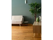 Apartamento T1 - Cedofeita, Porto, Porto - Miniatura: 3/9