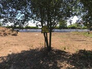 Terreno R�stico - Vila Nova da Telha, Maia, Porto - Miniatura: 7/7