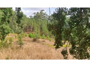 Terreno R�stico - Lousa, Loures, Lisboa - Miniatura: 4/9