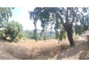 Terreno R�stico - Lousa, Loures, Lisboa - Miniatura: 5/9