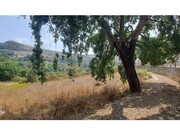 Terreno R�stico - Lousa, Loures, Lisboa - Miniatura: 6/9