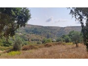 Terreno R�stico - Lousa, Loures, Lisboa - Miniatura: 7/9