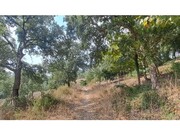 Terreno R�stico - Lousa, Loures, Lisboa - Miniatura: 8/9