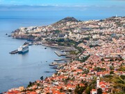 Terreno Rstico - Monte, Funchal, Ilha da Madeira - Miniatura: 2/9