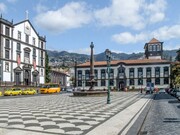 Terreno Rstico - Monte, Funchal, Ilha da Madeira - Miniatura: 9/9
