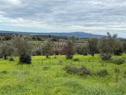 Terreno Urbano - Pardais, Vila Viosa, vora