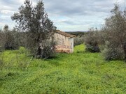 Terreno Urbano - Pardais, Vila Viosa, vora - Miniatura: 3/9