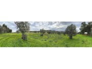 Terreno Urbano - Pardais, Vila Viosa, vora - Miniatura: 6/9