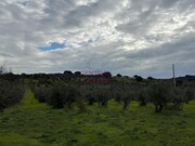 Terreno Urbano - Pardais, Vila Viosa, vora - Miniatura: 8/9