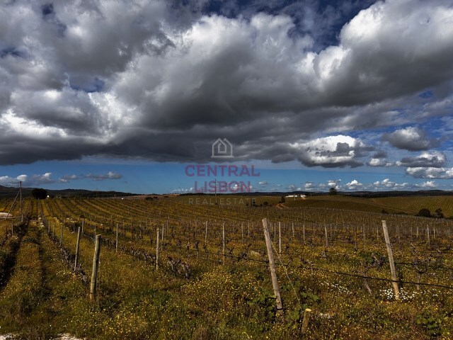 Terreno Urbano - Terena, Alandroal, Évora - Imagem grande
