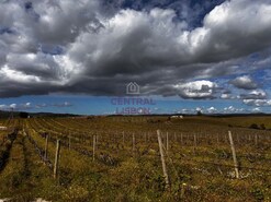 Terreno Urbano - Terena, Alandroal, vora