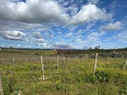 Terreno Urbano - Terena, Alandroal, vora - Miniatura: 6/9