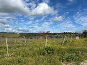 Terreno Urbano - Terena, Alandroal, vora - Miniatura: 7/9