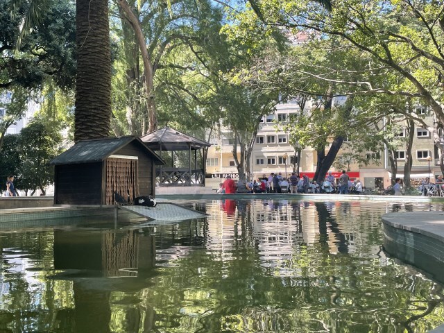 Prdio - Campo de Ourique, Lisboa, Lisboa - Imagem grande