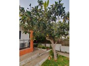 Moradia T2 - Charneca da Caparica, Almada, Set�bal - Miniatura: 6/9