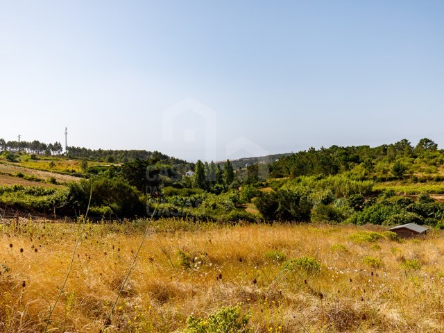 Terreno Urbano - Ericeira, Mafra, Lisboa - Imagem grande