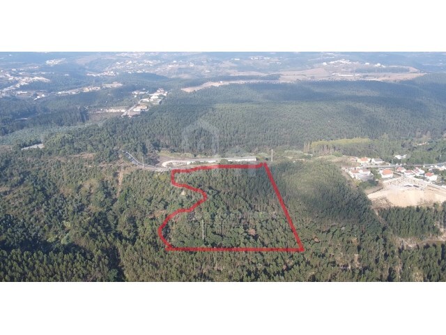 Terreno R�stico - Santo Isidoro MFR, Mafra, Lisboa - Imagem grande