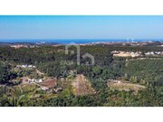 Terreno Rstico - Santo Isidoro MFR, Mafra, Lisboa