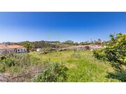 Terreno Rstico - Ericeira, Mafra, Lisboa - Miniatura: 7/9