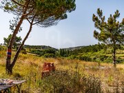 Terreno Urbano - Ericeira, Mafra, Lisboa - Miniatura: 6/9
