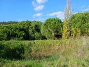 Terreno Rstico - Santo Isidoro MFR, Mafra, Lisboa - Miniatura: 4/9