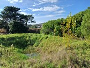 Terreno Rstico - Santo Isidoro MFR, Mafra, Lisboa - Miniatura: 5/9
