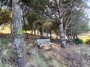 Terreno Rstico - Santo Isidoro MFR, Mafra, Lisboa - Miniatura: 7/9