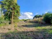 Terreno Rstico - Santo Isidoro MFR, Mafra, Lisboa - Miniatura: 9/9