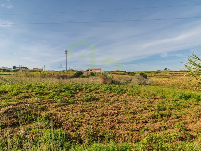 Terreno R�stico - Encarna��o, Mafra, Lisboa - Imagem grande