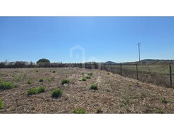 Terreno R�stico - Ericeira, Mafra, Lisboa
