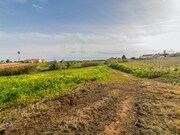 Terreno R�stico - Encarna��o, Mafra, Lisboa - Miniatura: 2/9