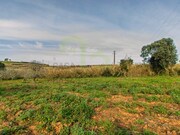 Terreno R�stico - Encarna��o, Mafra, Lisboa - Miniatura: 7/9