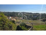 Terreno Rstico - Ericeira, Mafra, Lisboa - Miniatura: 7/8