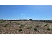 Terreno R�stico - Ericeira, Mafra, Lisboa - Miniatura: 2/6