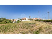 Terreno R�stico - Mafra, Mafra, Lisboa - Miniatura: 2/9