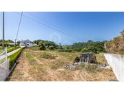 Terreno R�stico - Mafra, Mafra, Lisboa - Miniatura: 5/9