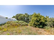Terreno R�stico - Mafra, Mafra, Lisboa - Miniatura: 7/9