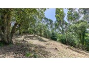 Terreno R�stico - Mafra, Mafra, Lisboa - Miniatura: 9/9