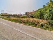 Terreno R�stico - Ericeira, Mafra, Lisboa - Miniatura: 5/5