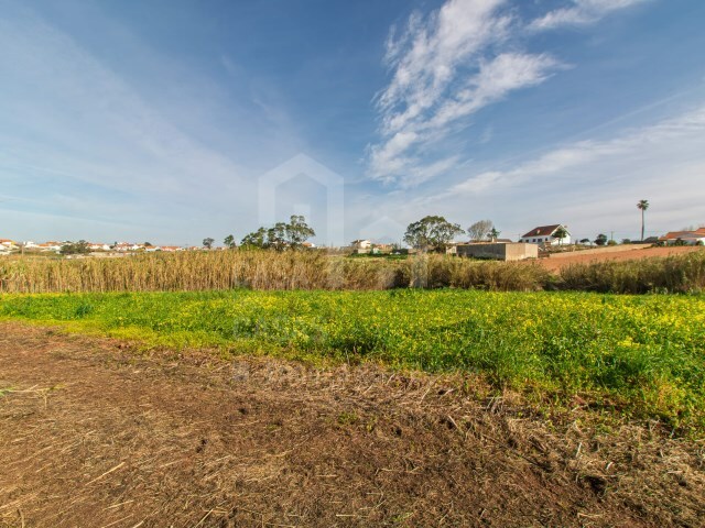 Terreno R�stico - Ericeira, Mafra, Lisboa - Imagem grande