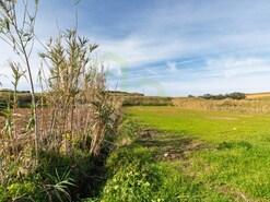 Terreno R�stico - Encarna��o, Mafra, Lisboa
