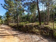 Terreno R�stico - Ericeira, Mafra, Lisboa - Miniatura: 9/9
