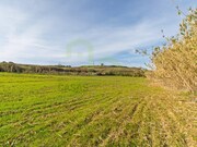 Terreno R�stico - Encarna��o, Mafra, Lisboa - Miniatura: 3/9