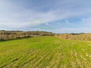 Terreno R�stico - Encarna��o, Mafra, Lisboa - Miniatura: 4/9