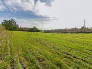 Terreno R�stico - Encarna��o, Mafra, Lisboa - Miniatura: 5/9