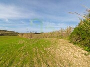 Terreno R�stico - Encarna��o, Mafra, Lisboa - Miniatura: 6/9