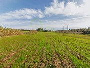 Terreno R�stico - Encarna��o, Mafra, Lisboa - Miniatura: 7/9
